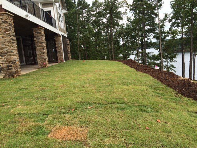 Green Grass Field on the Side of the House — Seneca, SC — Sheriff Landscaping