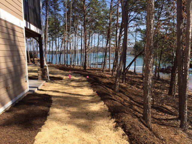 Pathway Surrounded by Trees — Seneca, SC — Sheriff Landscaping