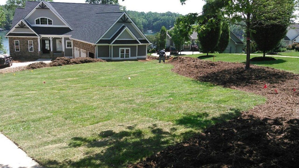 Grass Field — Seneca, SC — Sheriff Landscaping