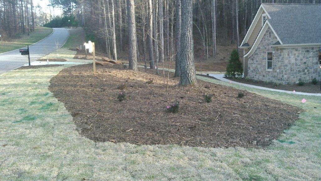 Plants Near Trees — Seneca, SC — Sheriff Landscaping