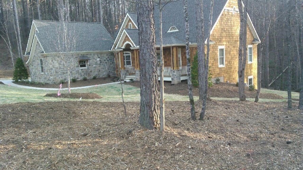 Dry Trees — Seneca, SC — Sheriff Landscaping