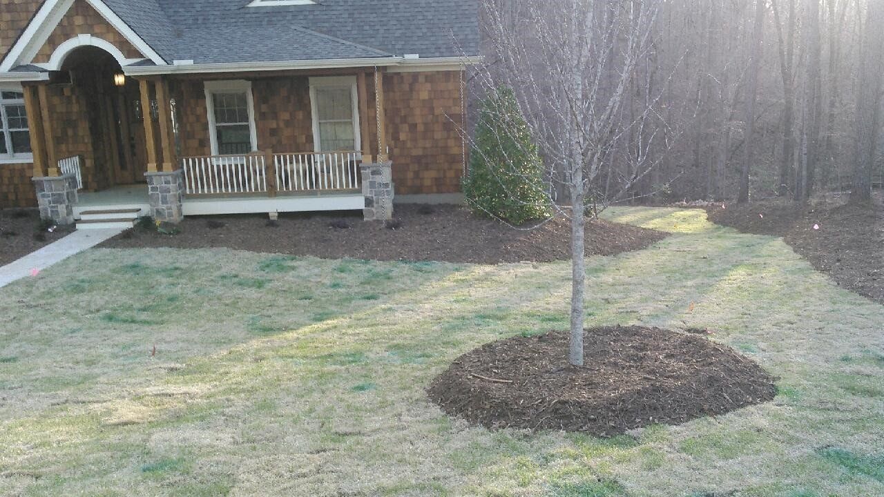 Dry Tree in Front of the House — Seneca, SC — Sheriff Landscaping