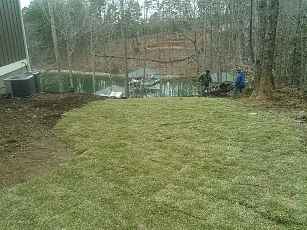 Backyard with Lots of Trees — Seneca, SC — Sheriff Landscaping