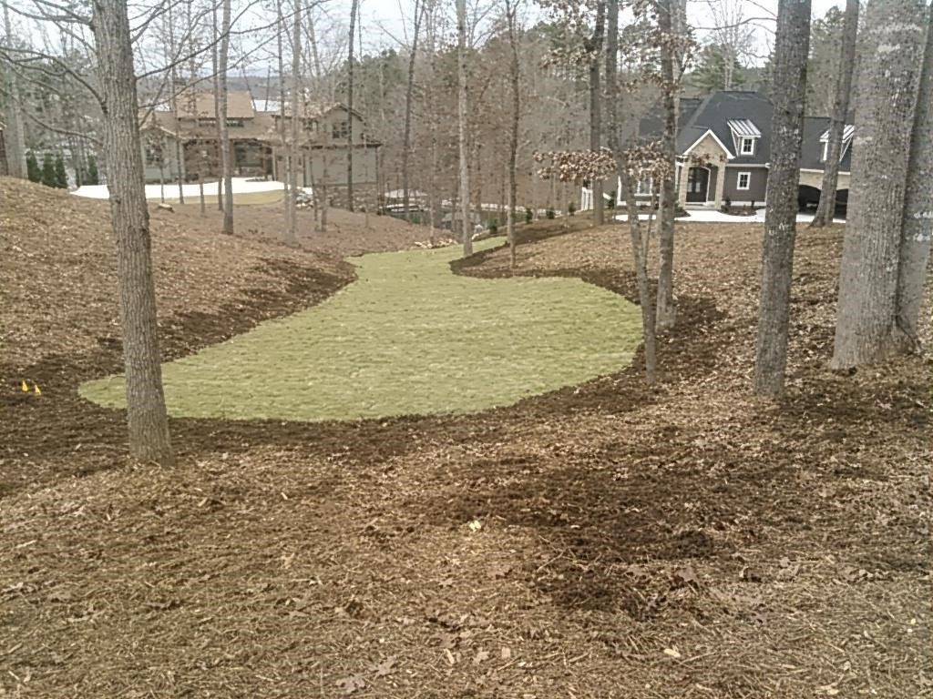 Clear Land — Seneca, SC — Sheriff Landscaping