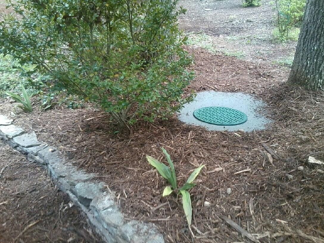 Plant Near Manhole Cover — Seneca, SC — Sheriff Landscaping