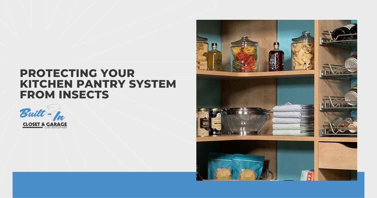 Protecting Your Kitchen Pantry System From Insects