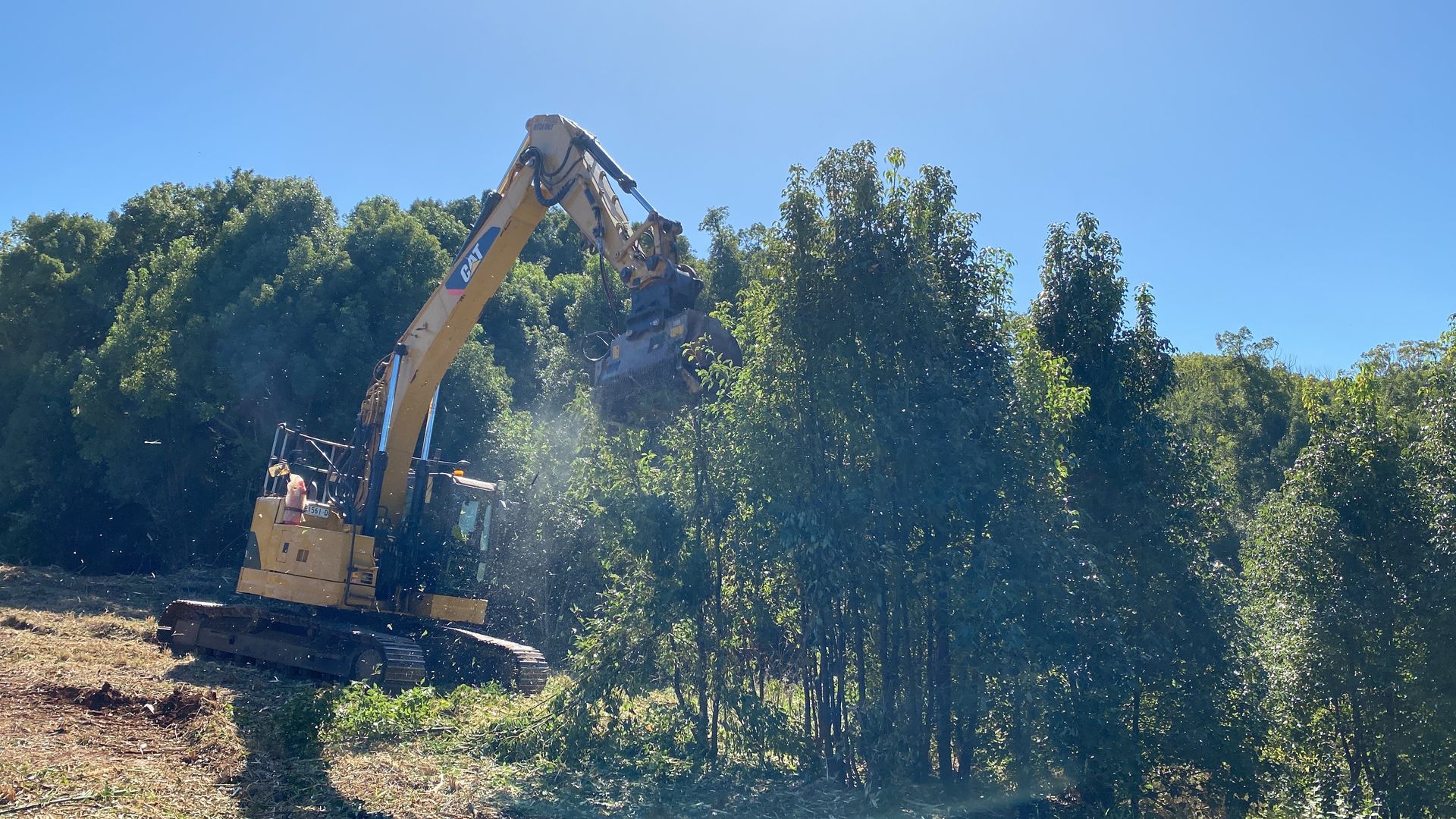 A Yellow Excavator Clears Trees on a Hillside — PVM Contracting in Lismore, NSW