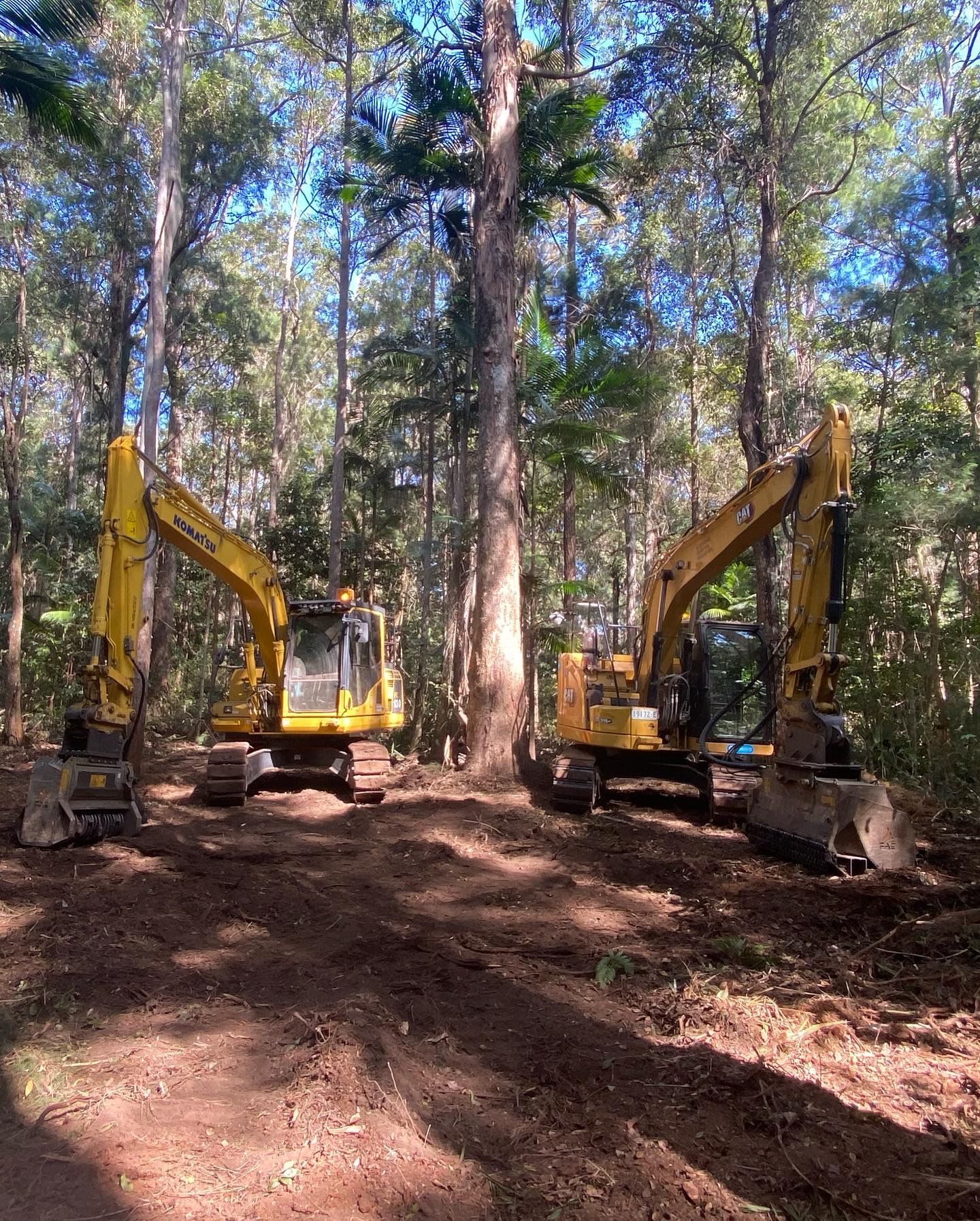 A Two Yellow Excavators Clearing Land in a Forest — PVM Contracting in Alstonville, NSW
