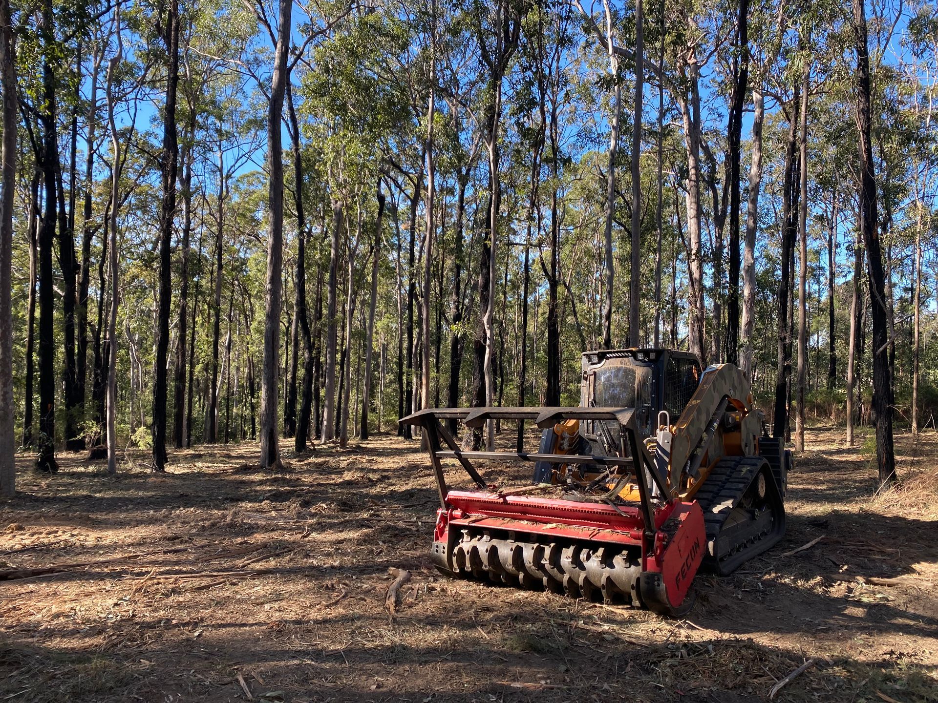 A Red Forestry Mulcher Clearing Brush in a Forest — PVM Contracting in Alstonville, NSW