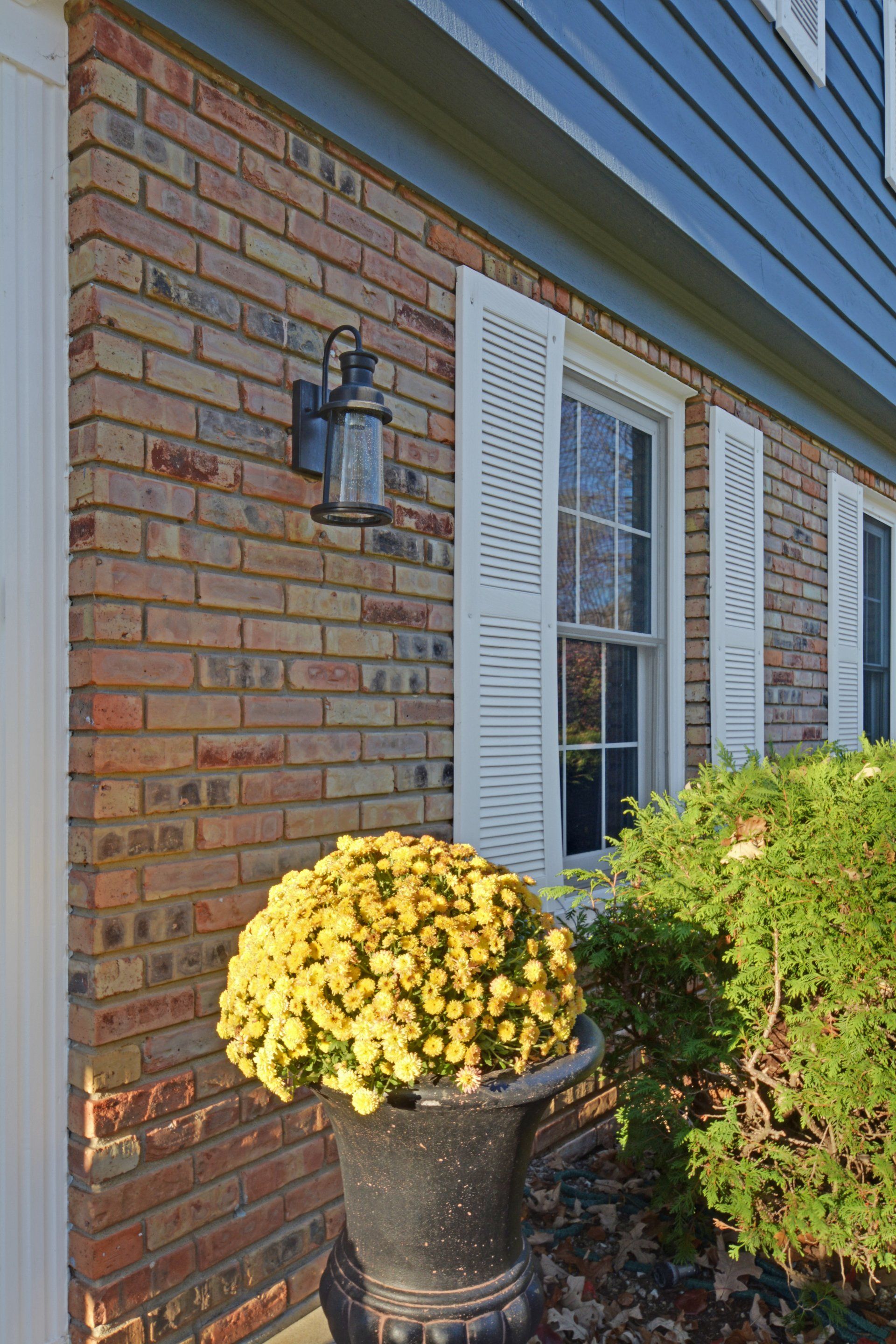 a potted plant with yellow flowers is in front of a brick house .