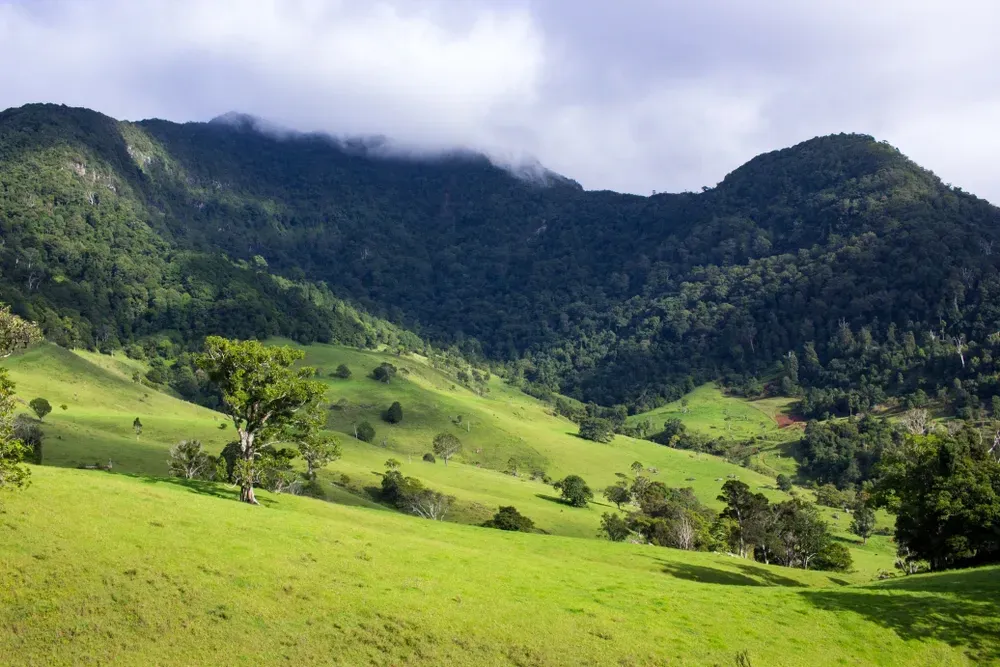 A Vibrant Green Hillside Pasture Leading Up to a Lush, Forest-covered Mountain Range Under a Cloudy Sky — Gold Coast City Plumbing In Nerang, QLD