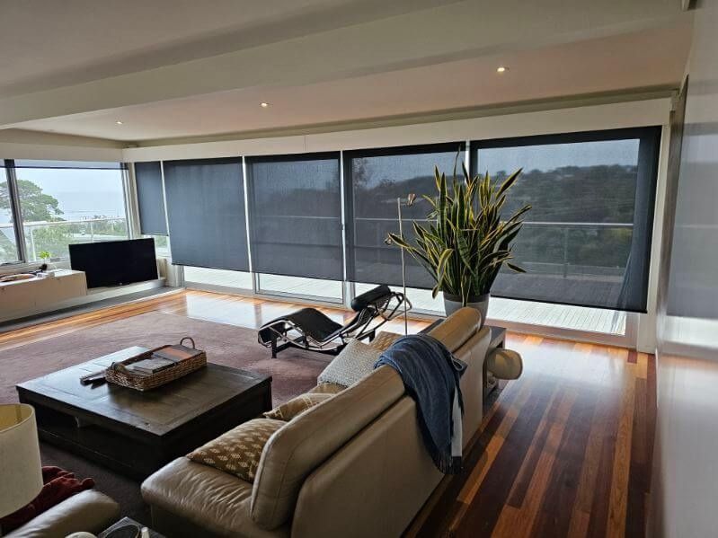 Living room with dark blinds, a large plant, a sofa, and a window overlooking a view.