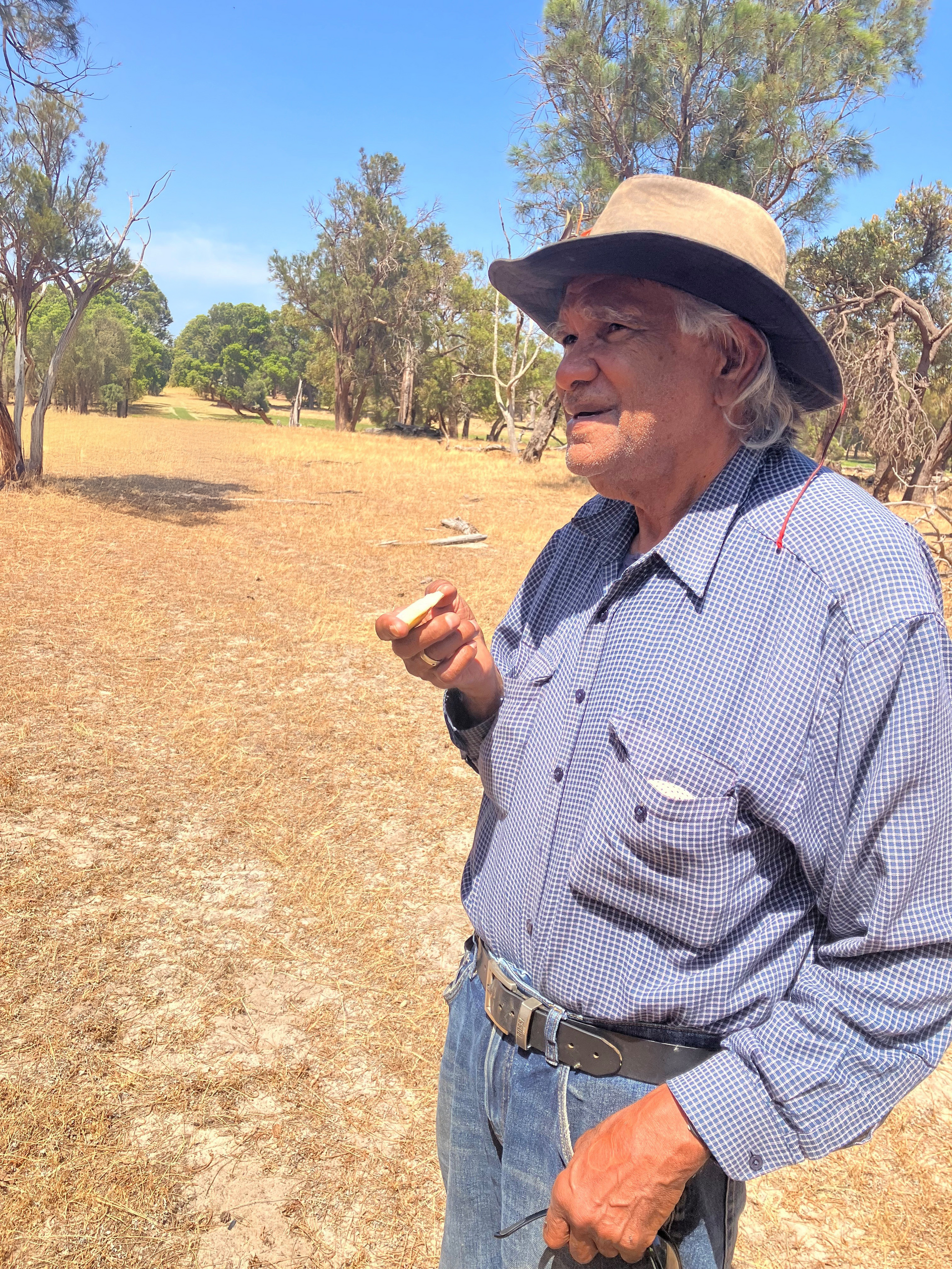 Man in blue shirt and hat standing in a dry field, trees in the background.