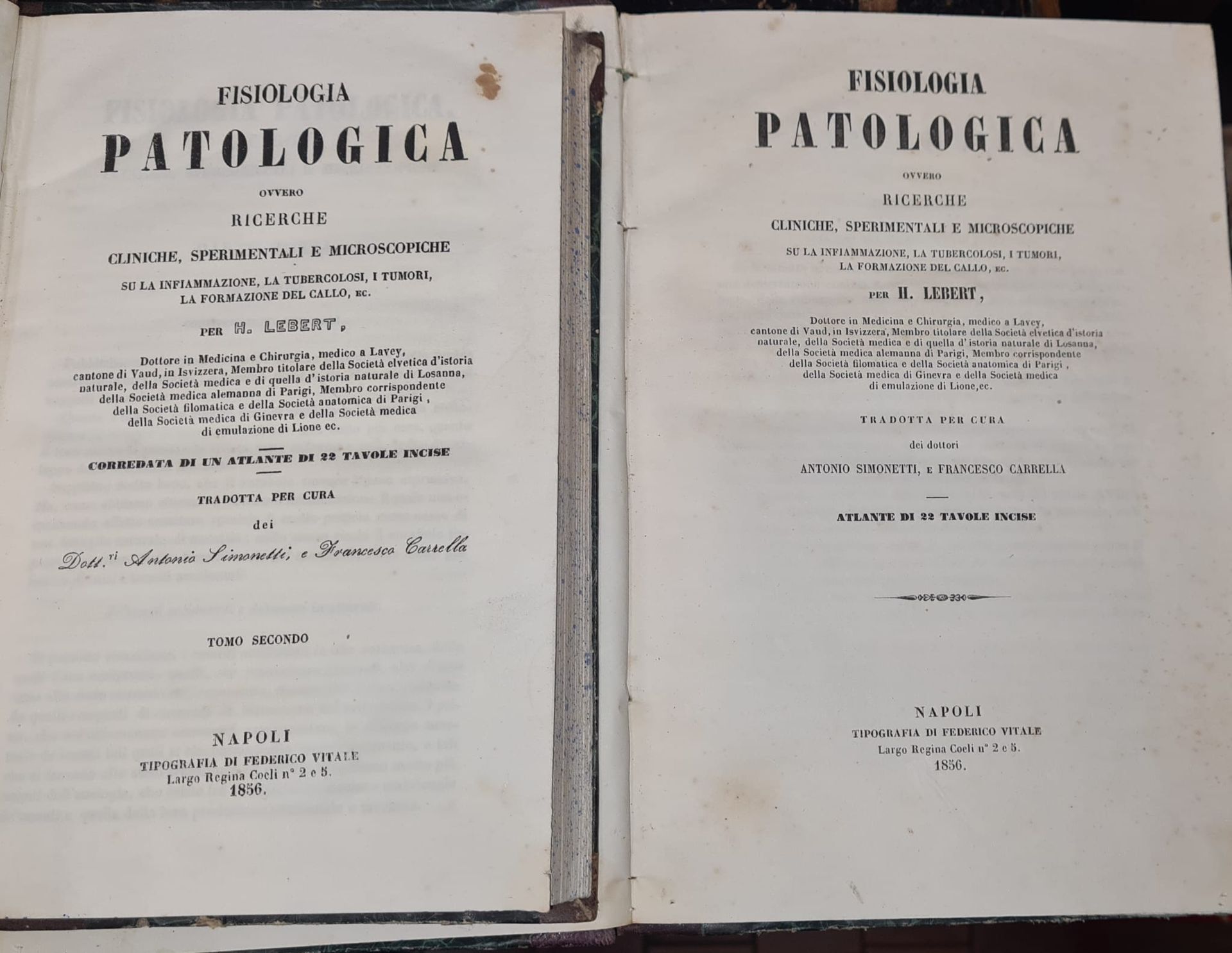 Libro di Ceneri Angelo