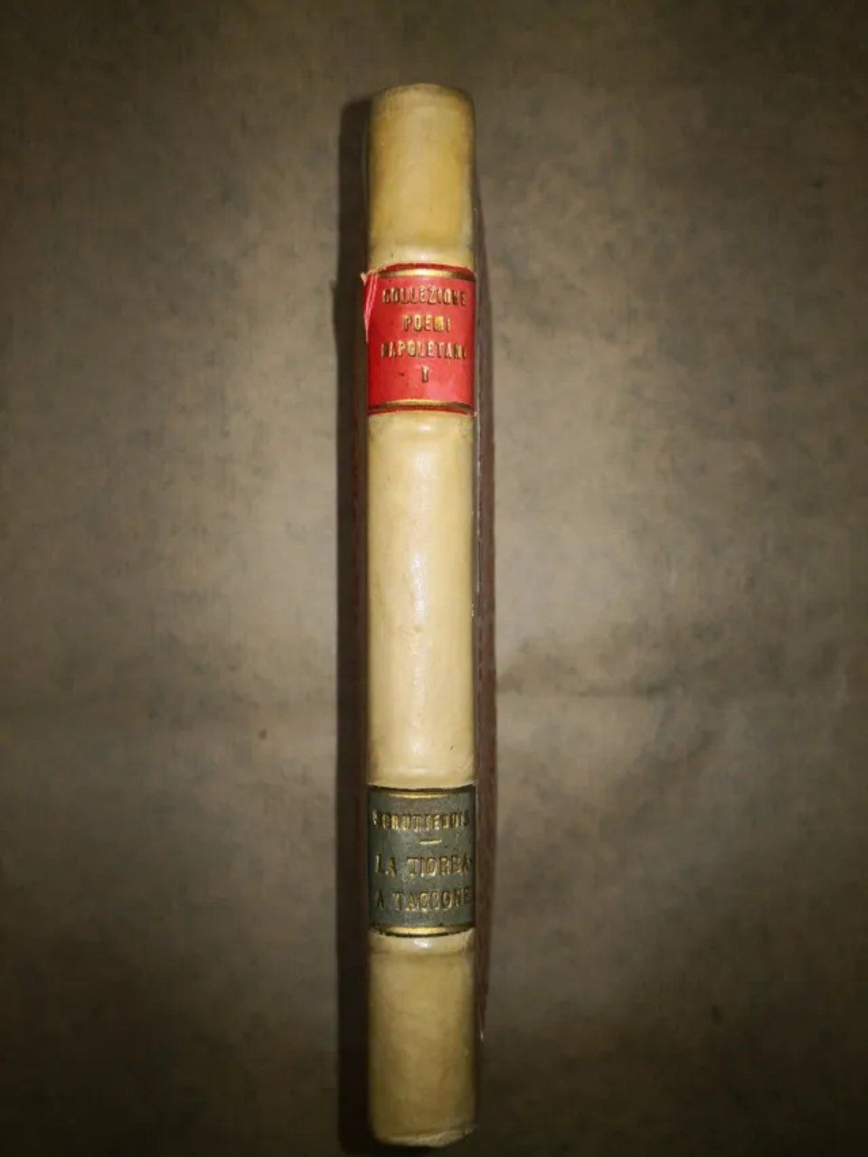 Libro di lingua napoletana