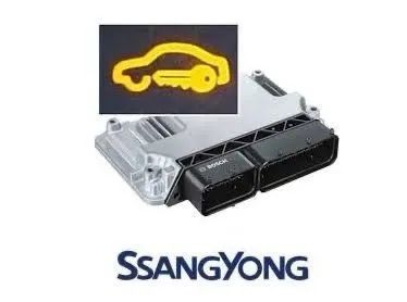 SsangYong automotive electronic control module with yellow car icon and SSANGYONG logo