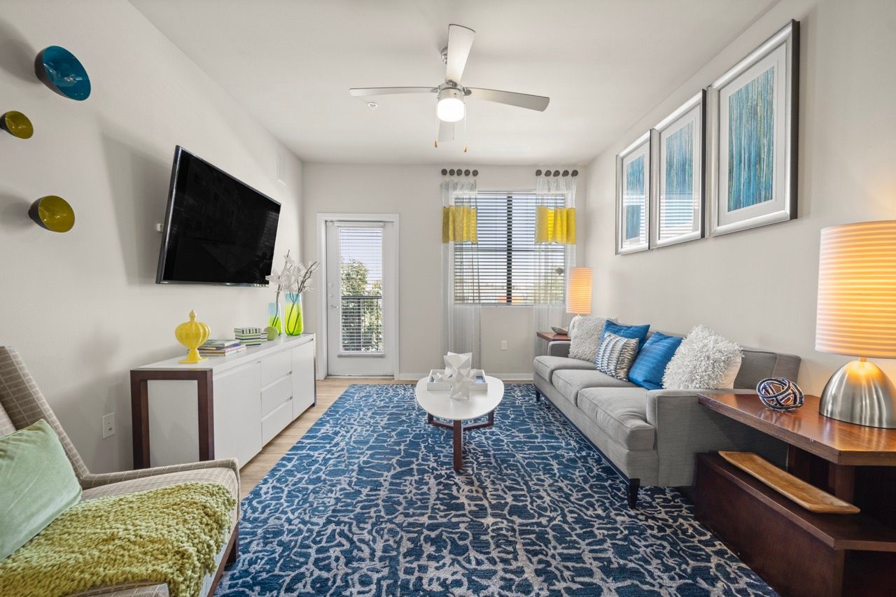 Bright living room in a modern apartment with a gray sofa, blue rug, wall art, and a TV.