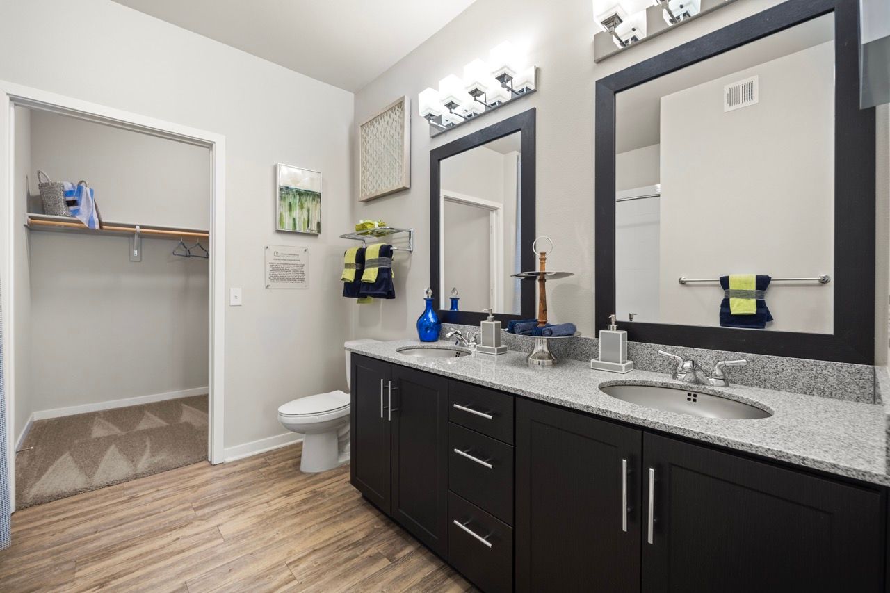Double-sink bathroom vanity with granite countertop and a walk-in closet nearby.