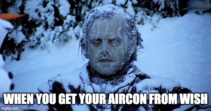 Frozen man with a caption 'WHEN YOU GET YOUR AIRCON FROM WISH' implying poor-quality air conditioning.