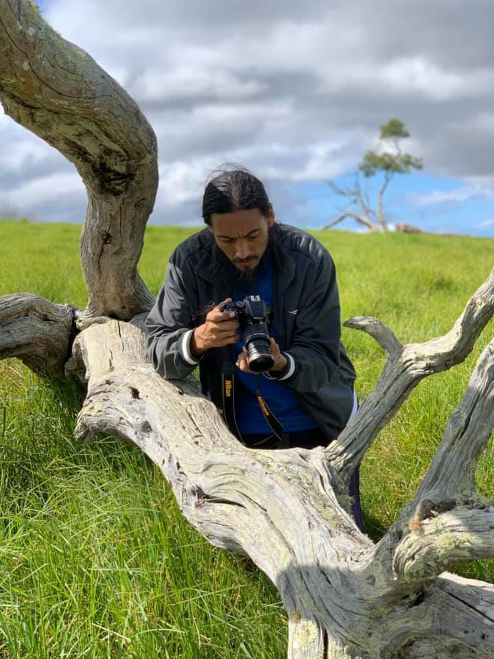 A man is sitting on a tree branch taking a picture with a camera.