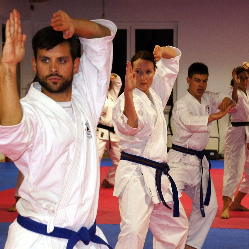 a group of people are practicing martial arts in a gym