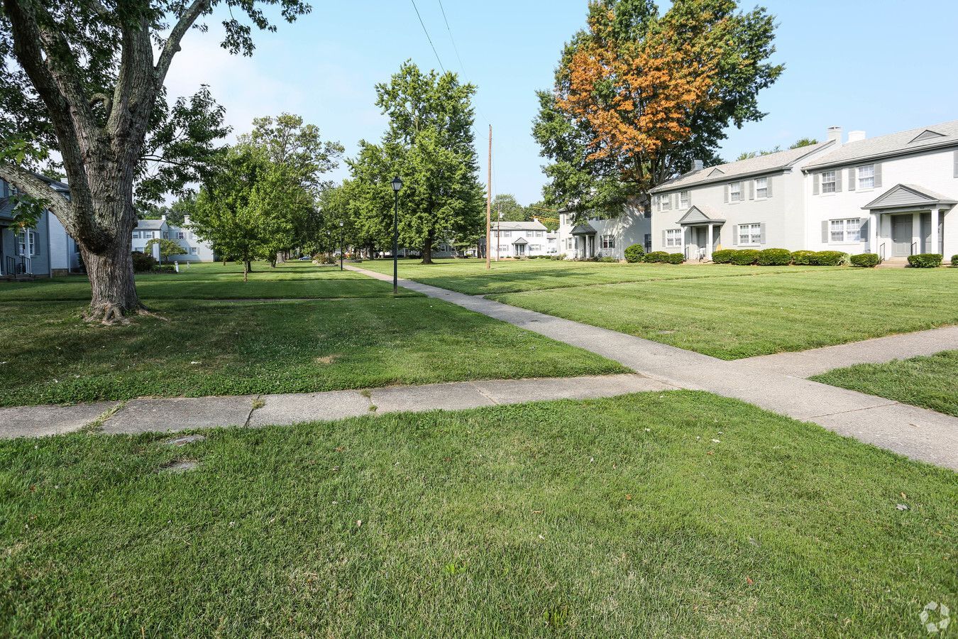 A residential area with a lot of grass and trees