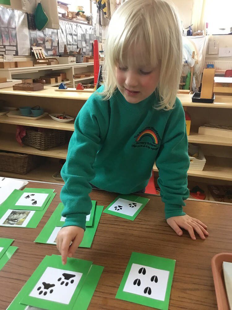 The Rainbow Montessori Nursery School, Winscombe