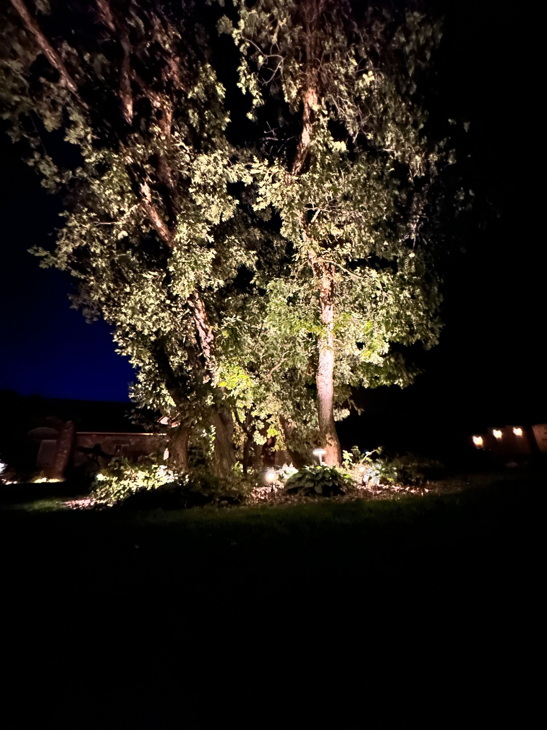 Landscape Lighting Gallery