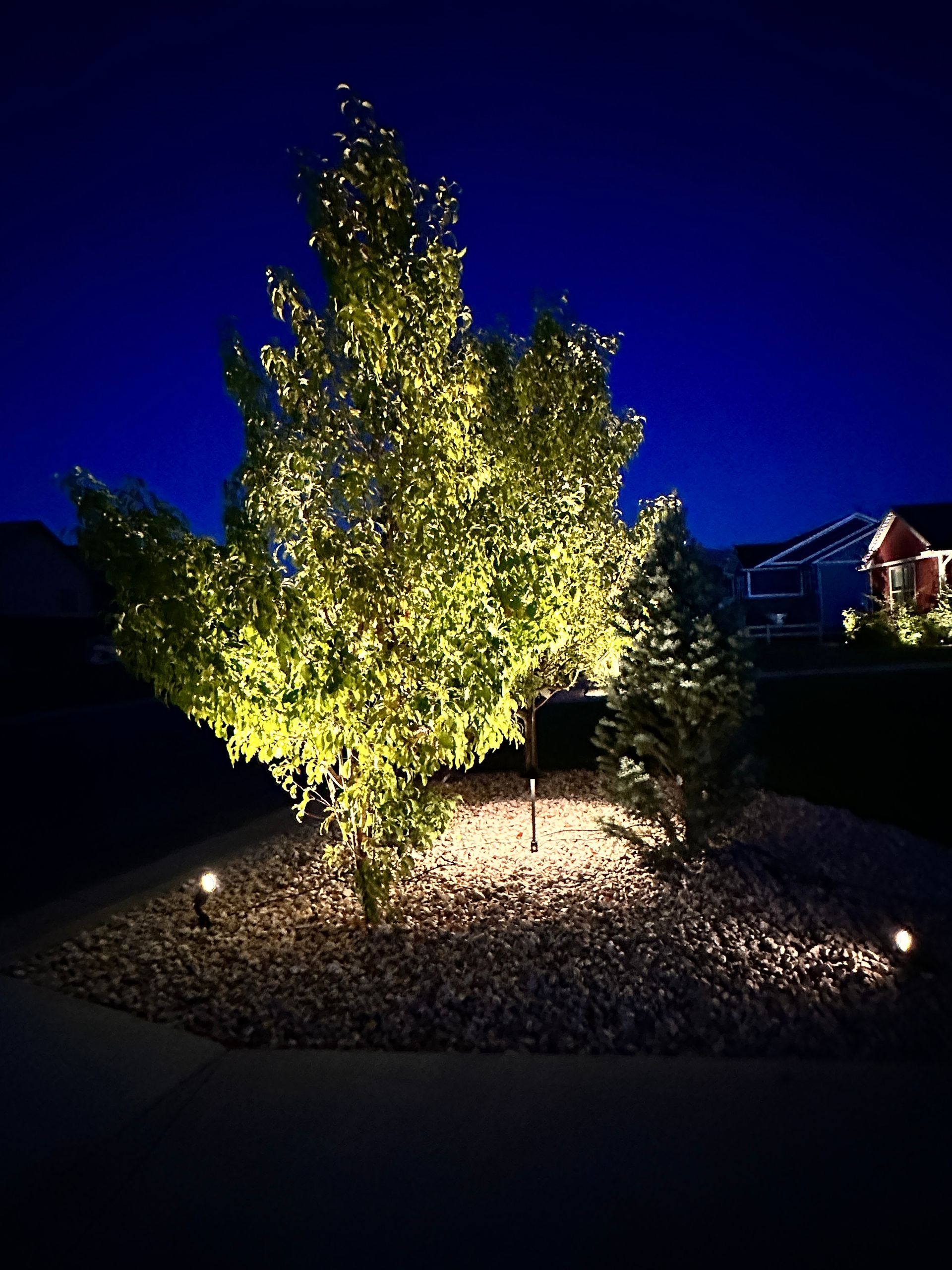 Landscape Lighting Gallery