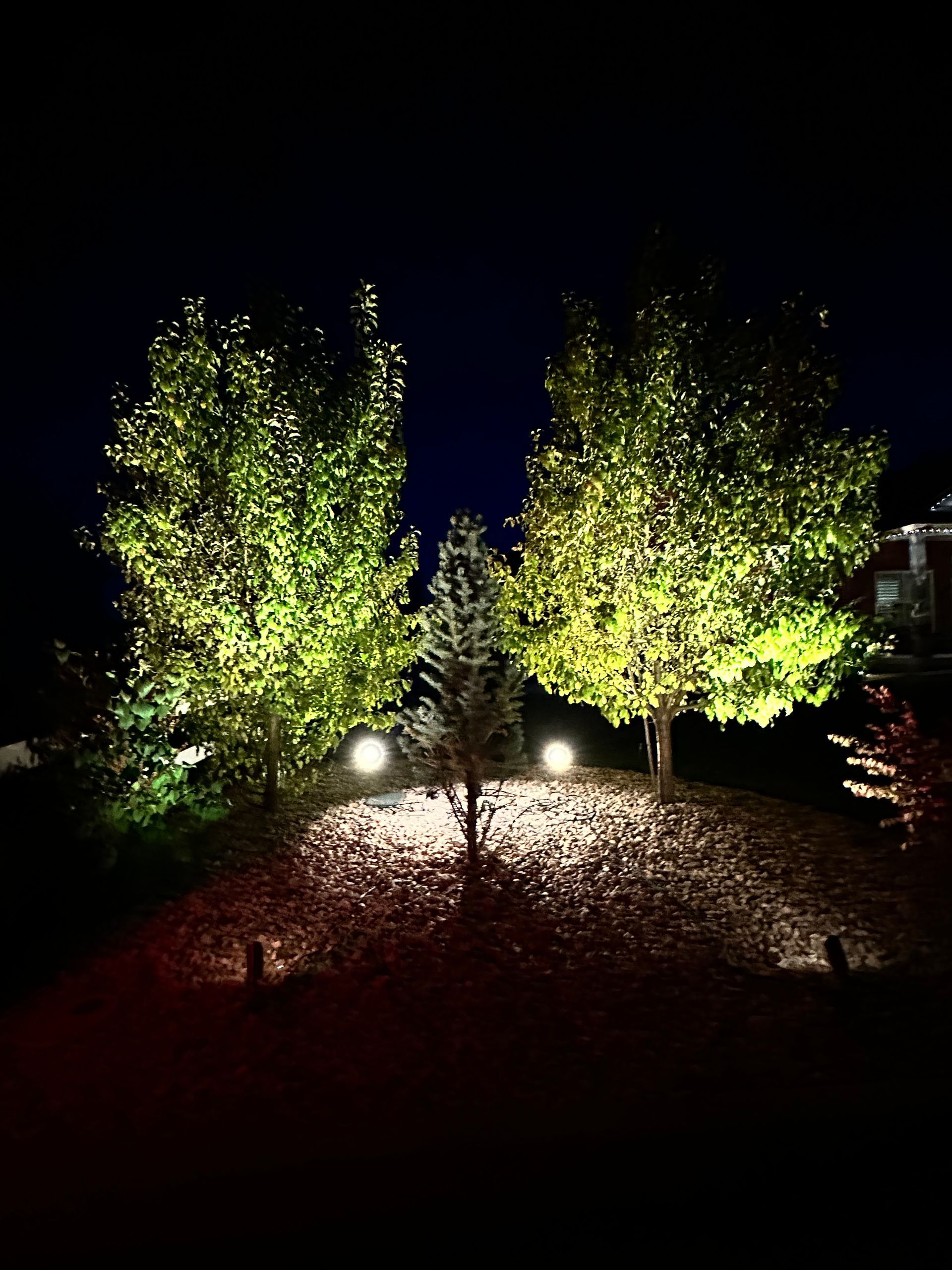 Landscape Lighting Gallery