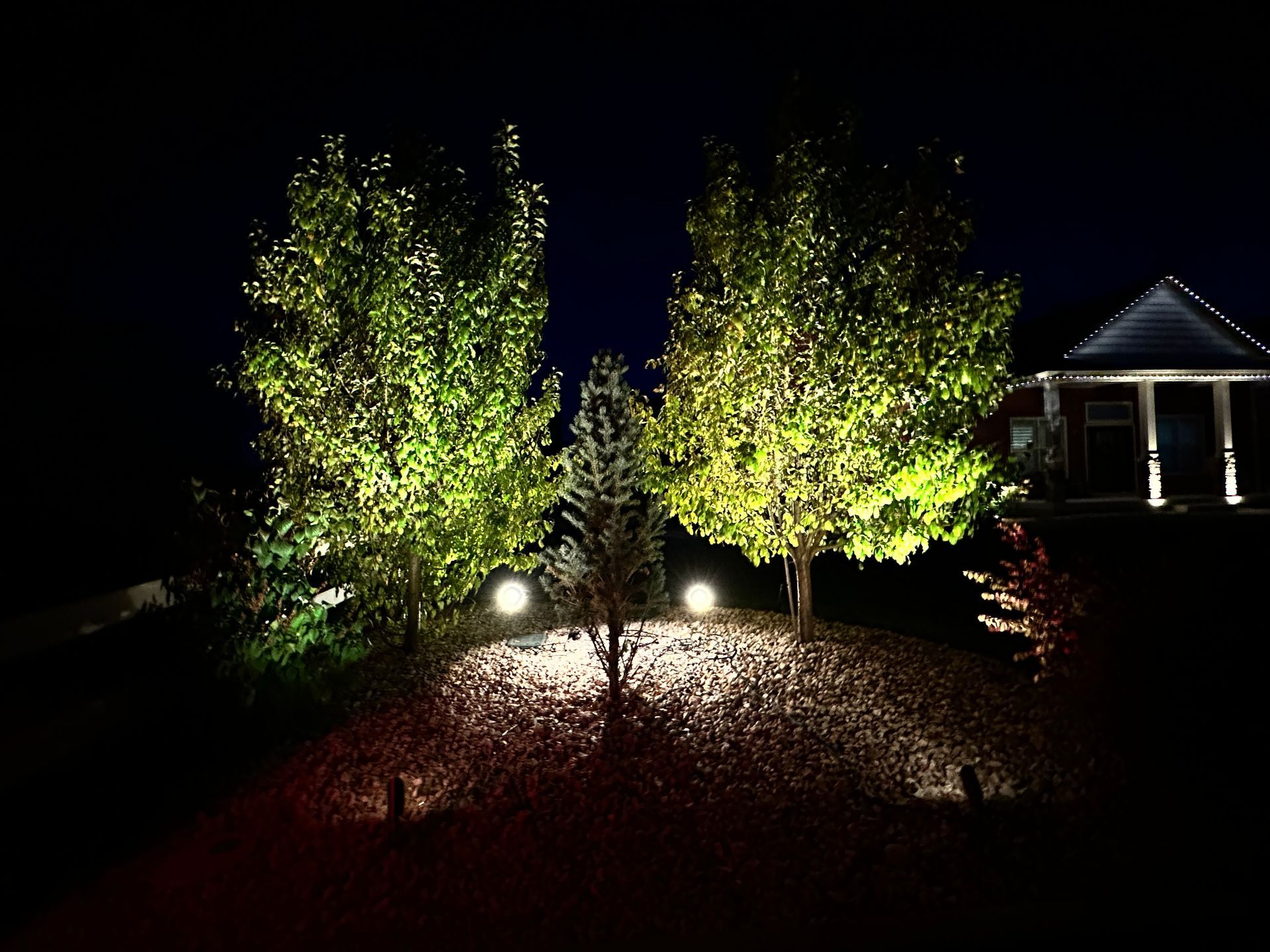 Landscape Lighting Gallery