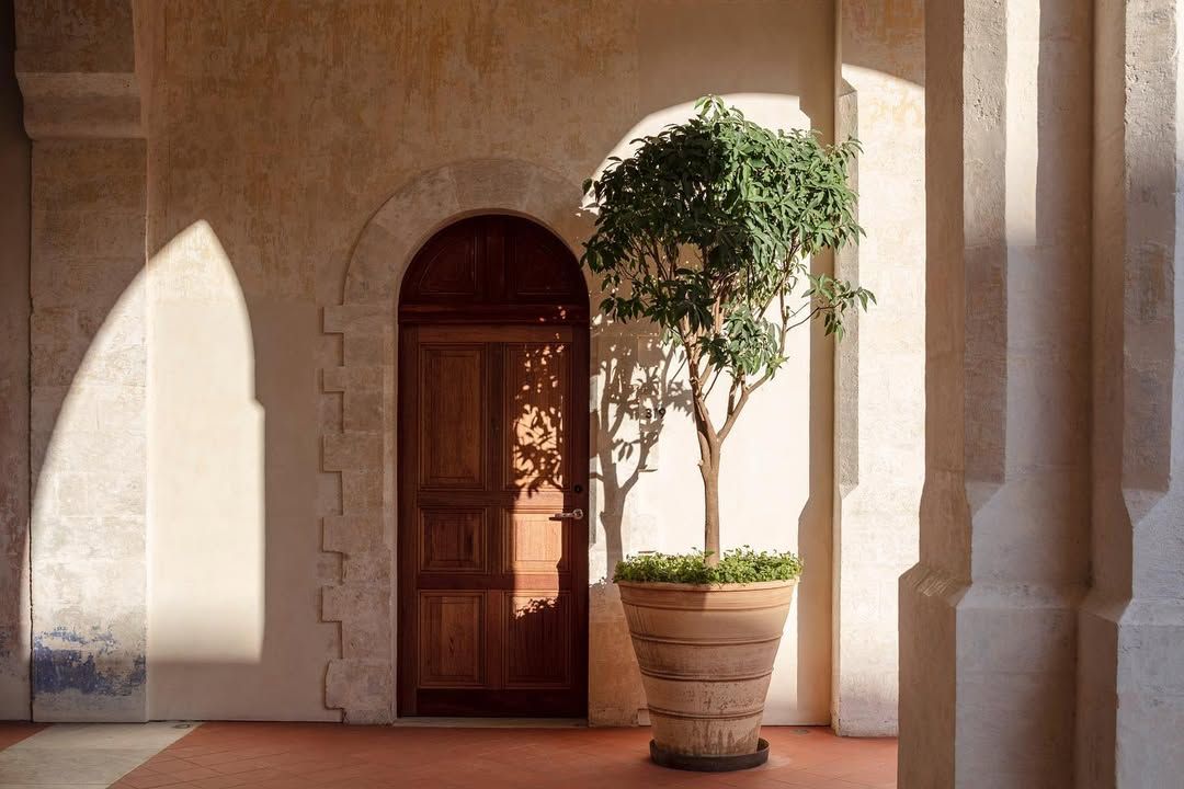 The Jaffa Hotel Branding and Creative