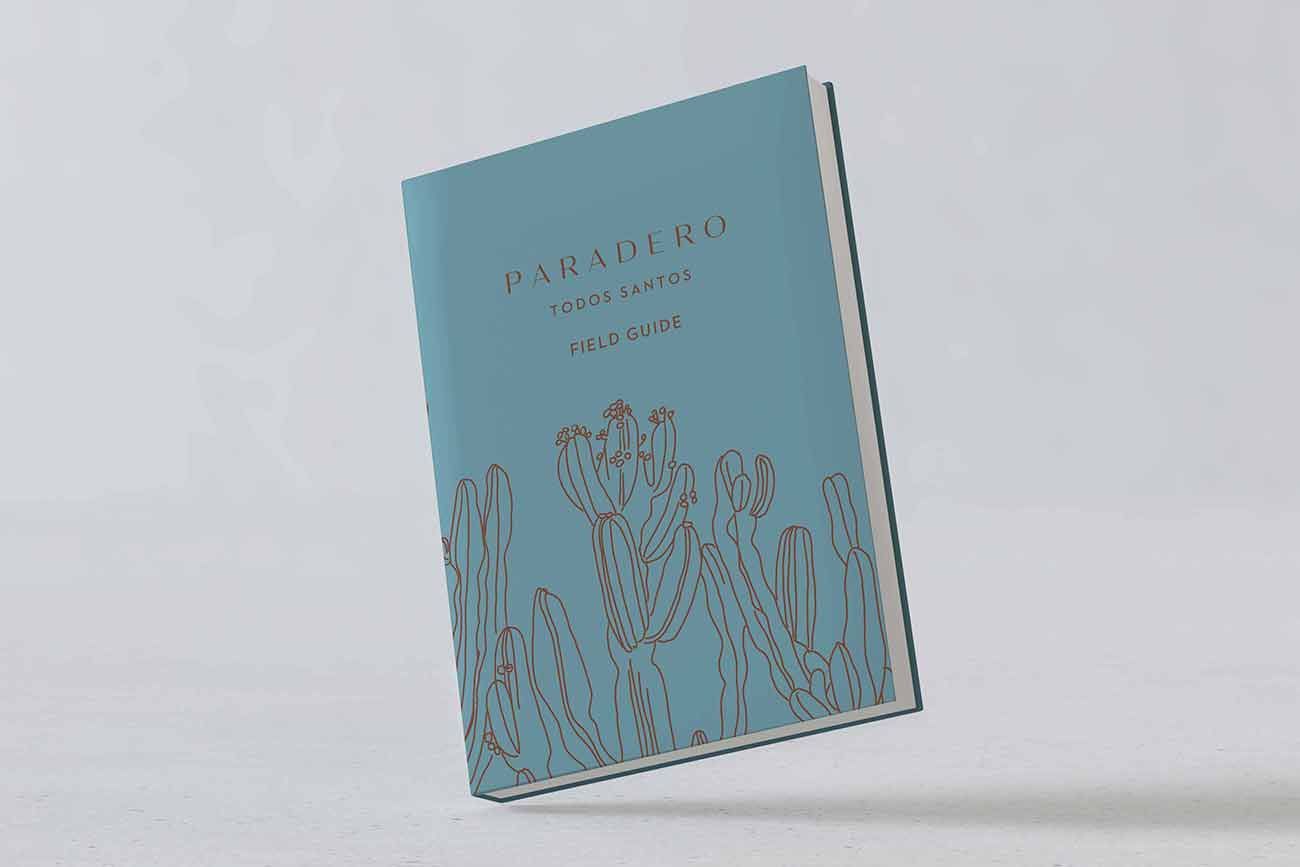 Paradero Todos Santos Branding and Creative
