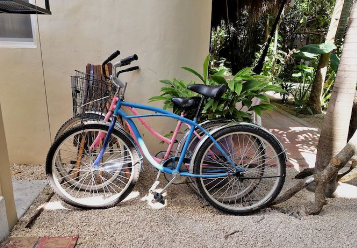 Two bicycles are parked next to each other in front of a building