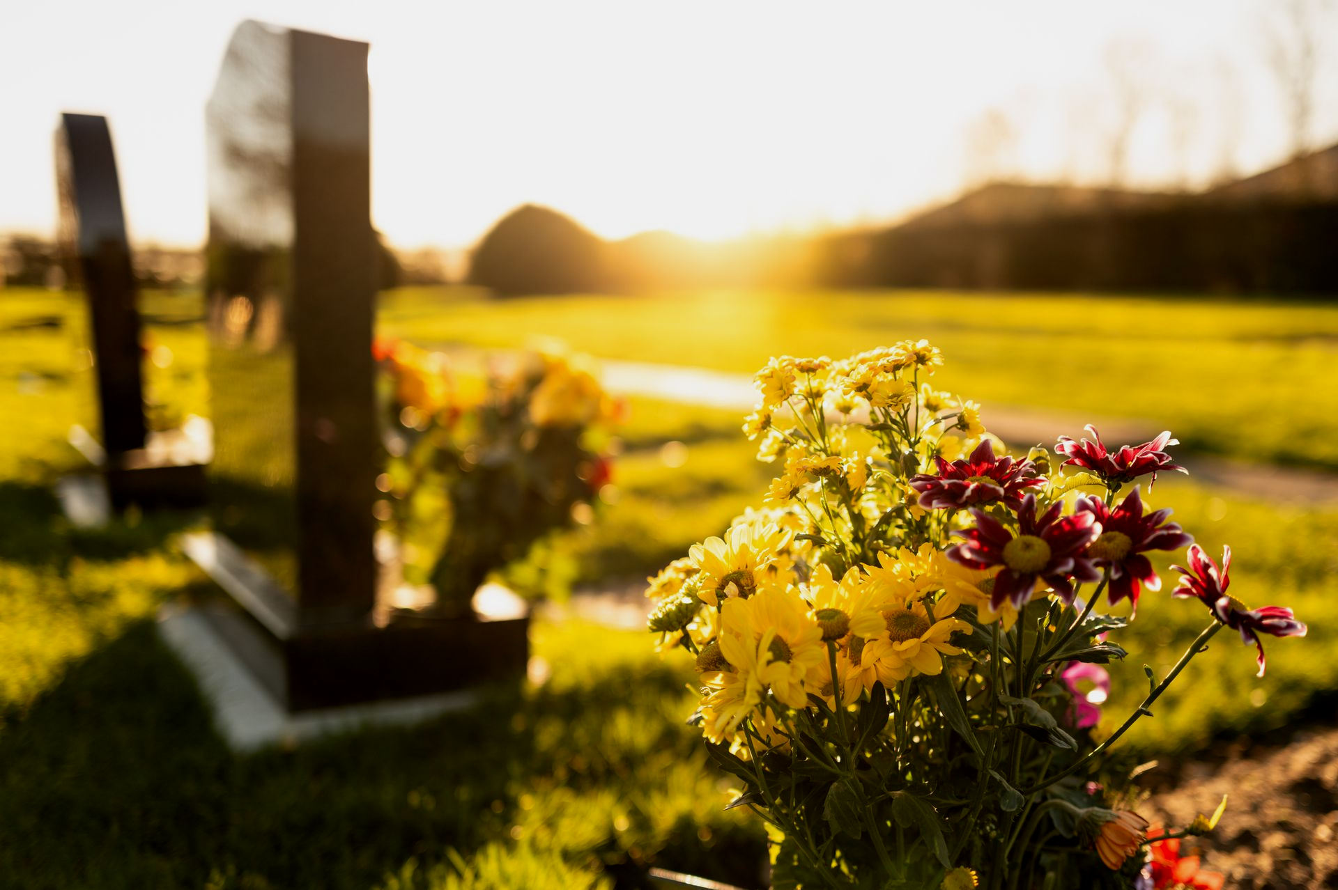 Flowers at gravesite with headstones, sunlit background.
