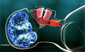 Cross-section of head depicting a brain with radiating energy, a mouth with teeth and airway, medical illustration.