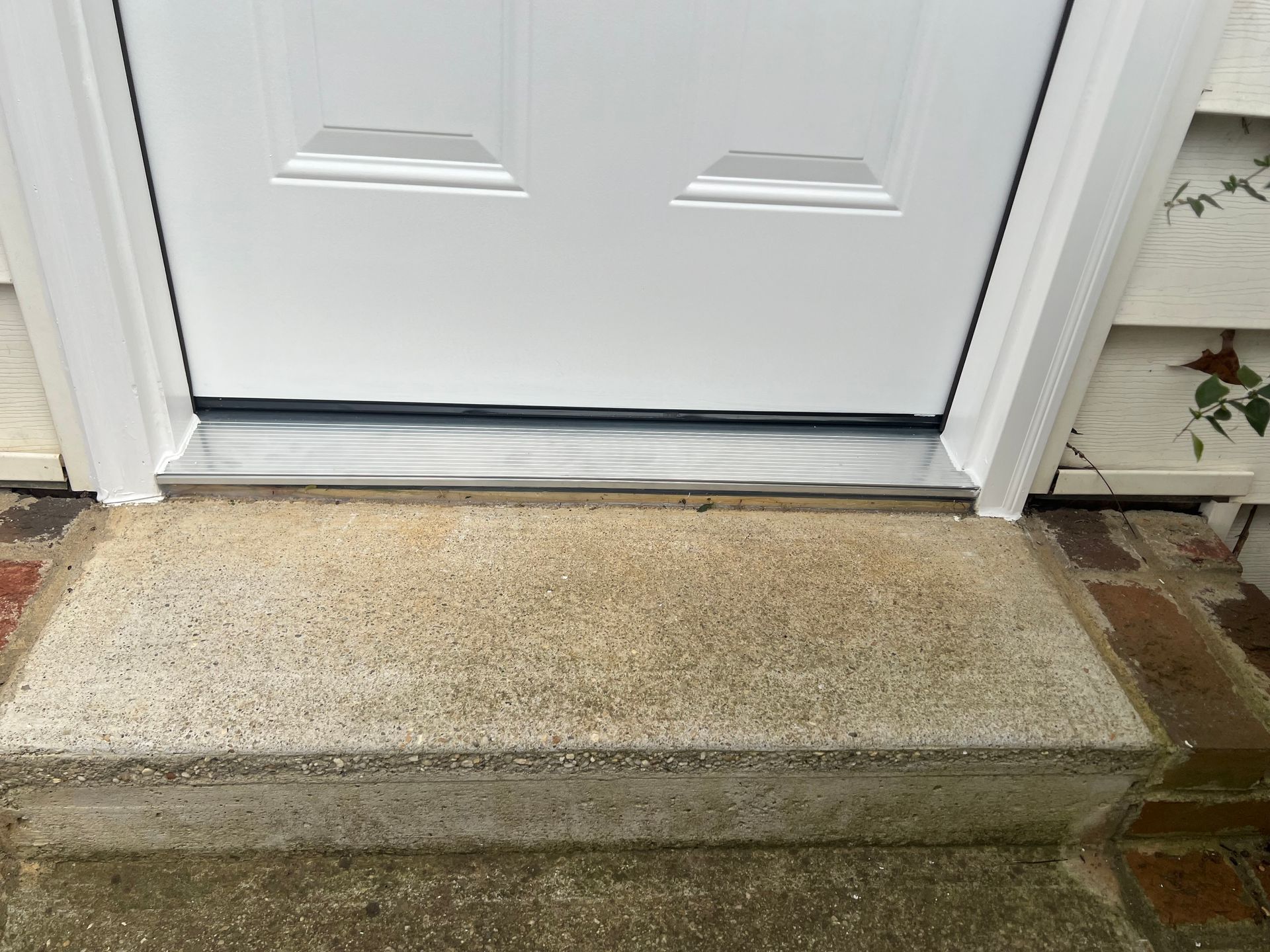 White door with raised threshold over a concrete step.