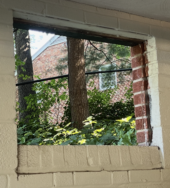 Window in a brick wall, looking out onto greenery and a distant brick building.