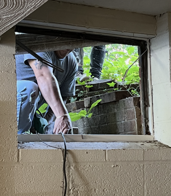 Person working at a basement window. They are reaching into the window, with foliage visible outside. The window frame and wall are painted.