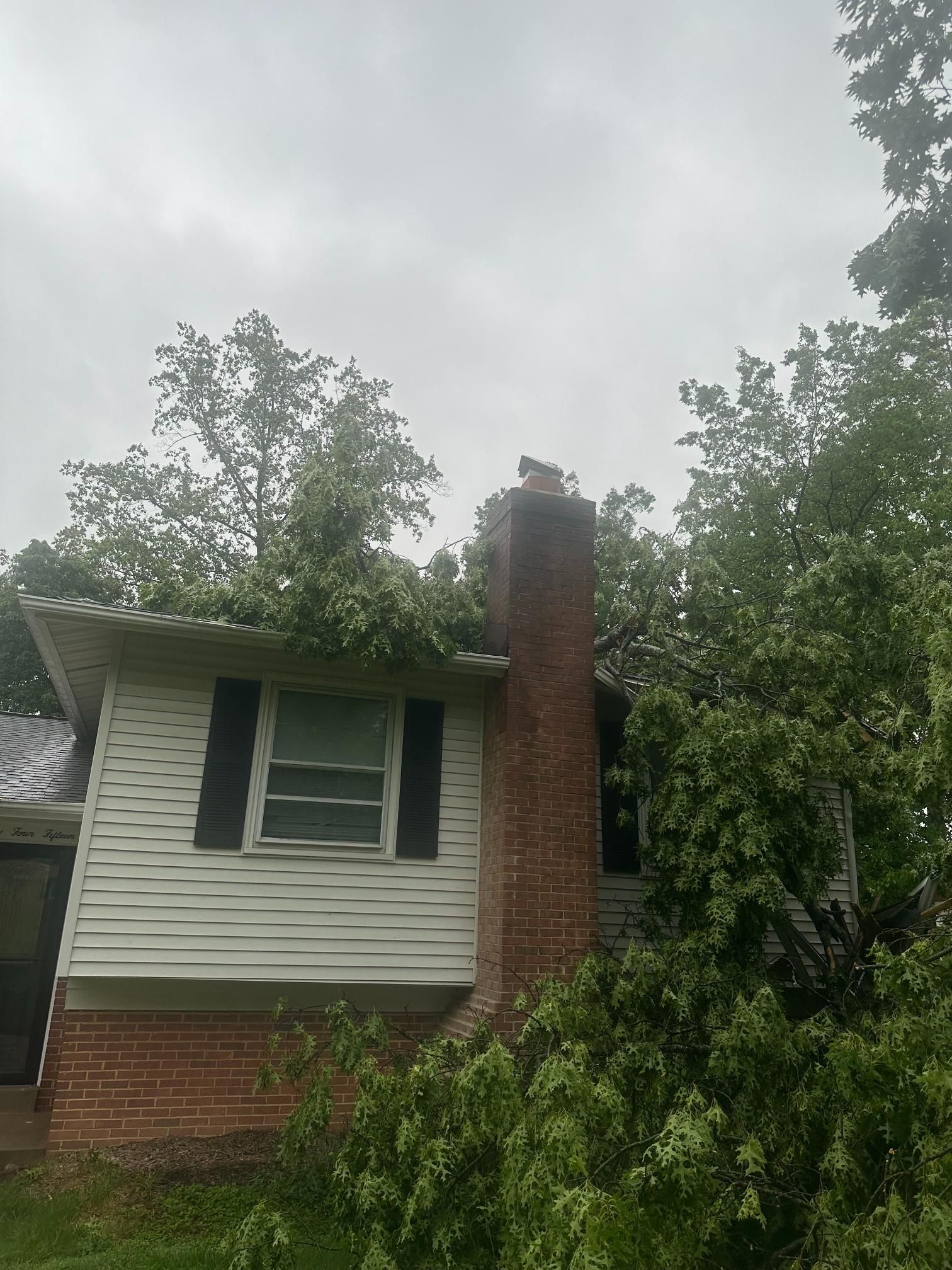 A white house with a brick chimney is surrounded by green trees under a cloudy sky.