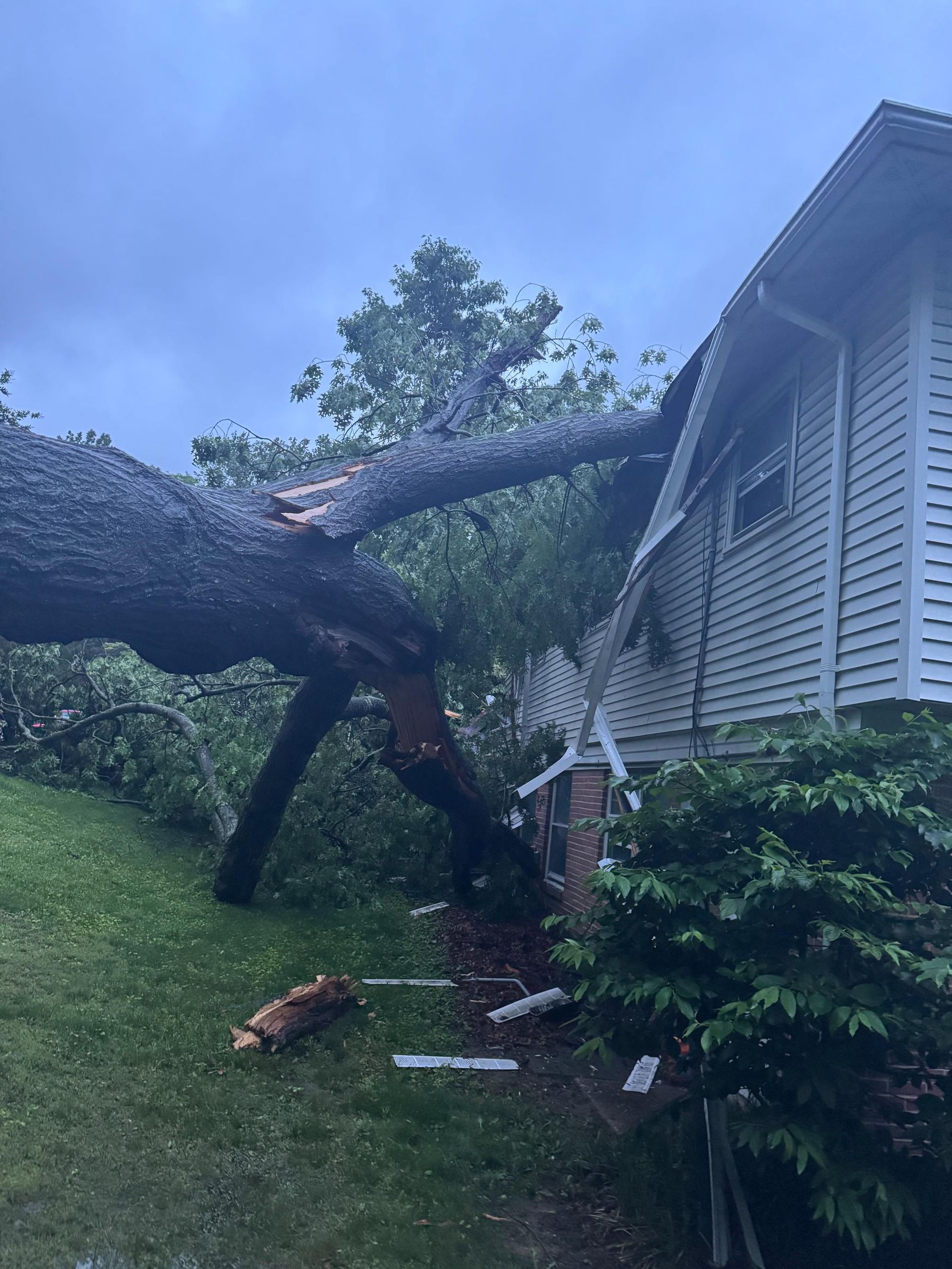 Tree fallen on a house, on a cloudy day. Branches on the roof and the lawn.