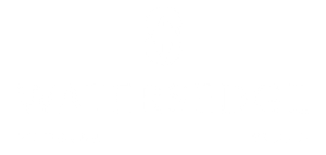 Watersedge logo mark - Webster, TX