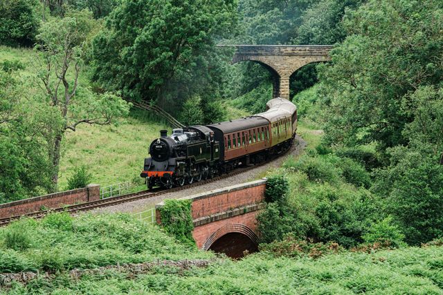 A train is going over a bridge in the woods.