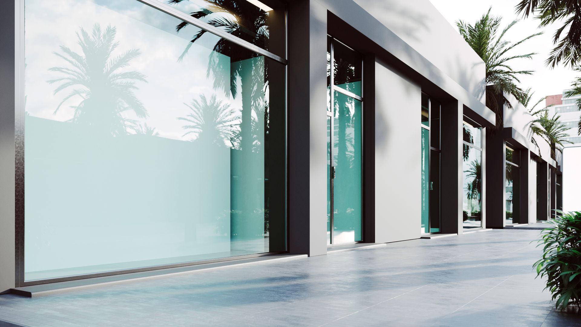 A building with a lot of windows and a palm tree in the background.