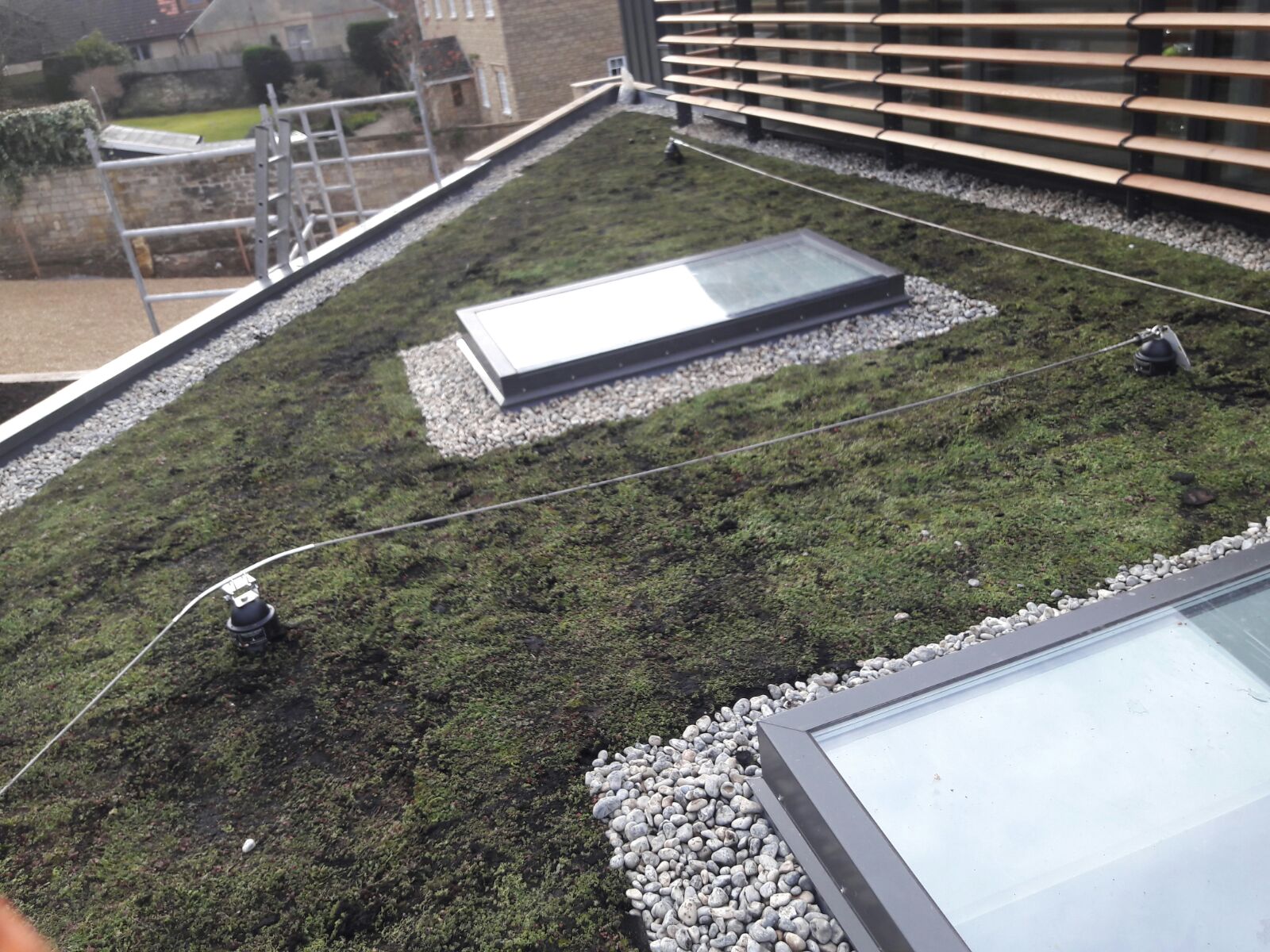 Green Roof