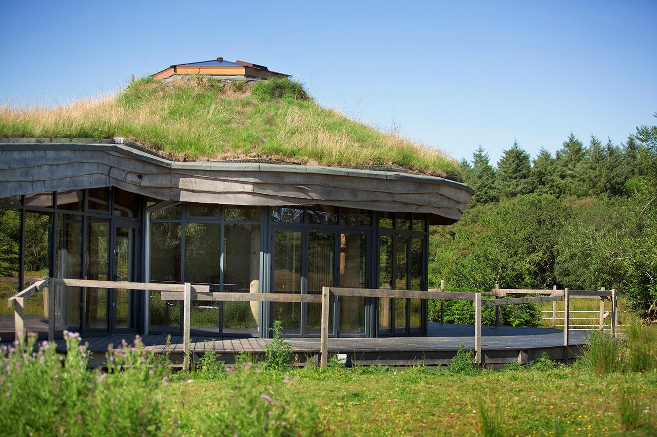 Green roof on Down to Earth project