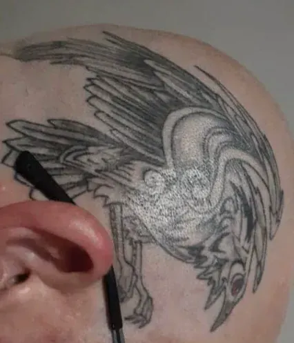 Tattoo of a raven on a shaved head, showing wings spread and beak pointed downwards, next to a person's ear.