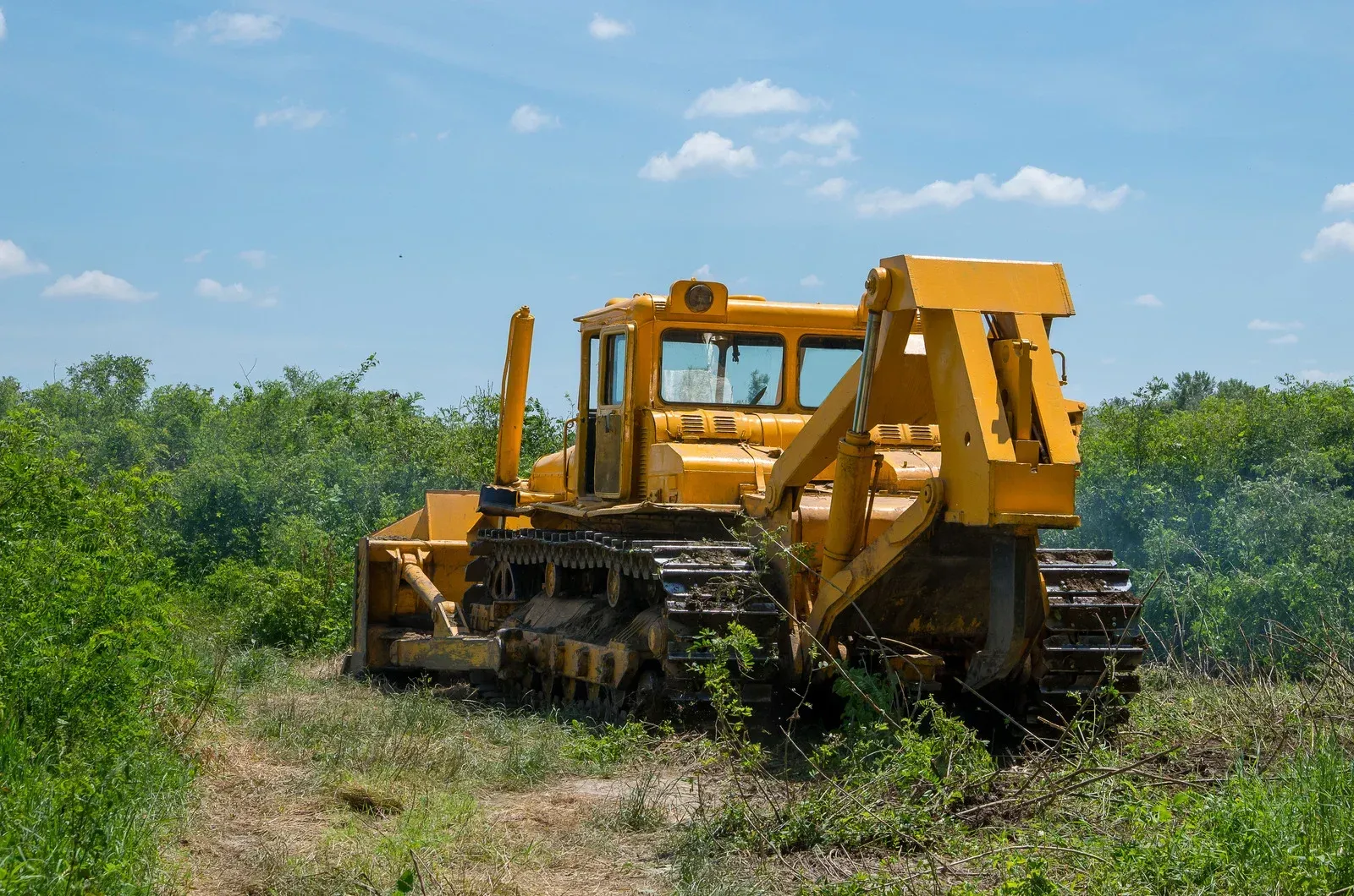 Yellow bulldozer clearing land with green bushes under a blue sky.