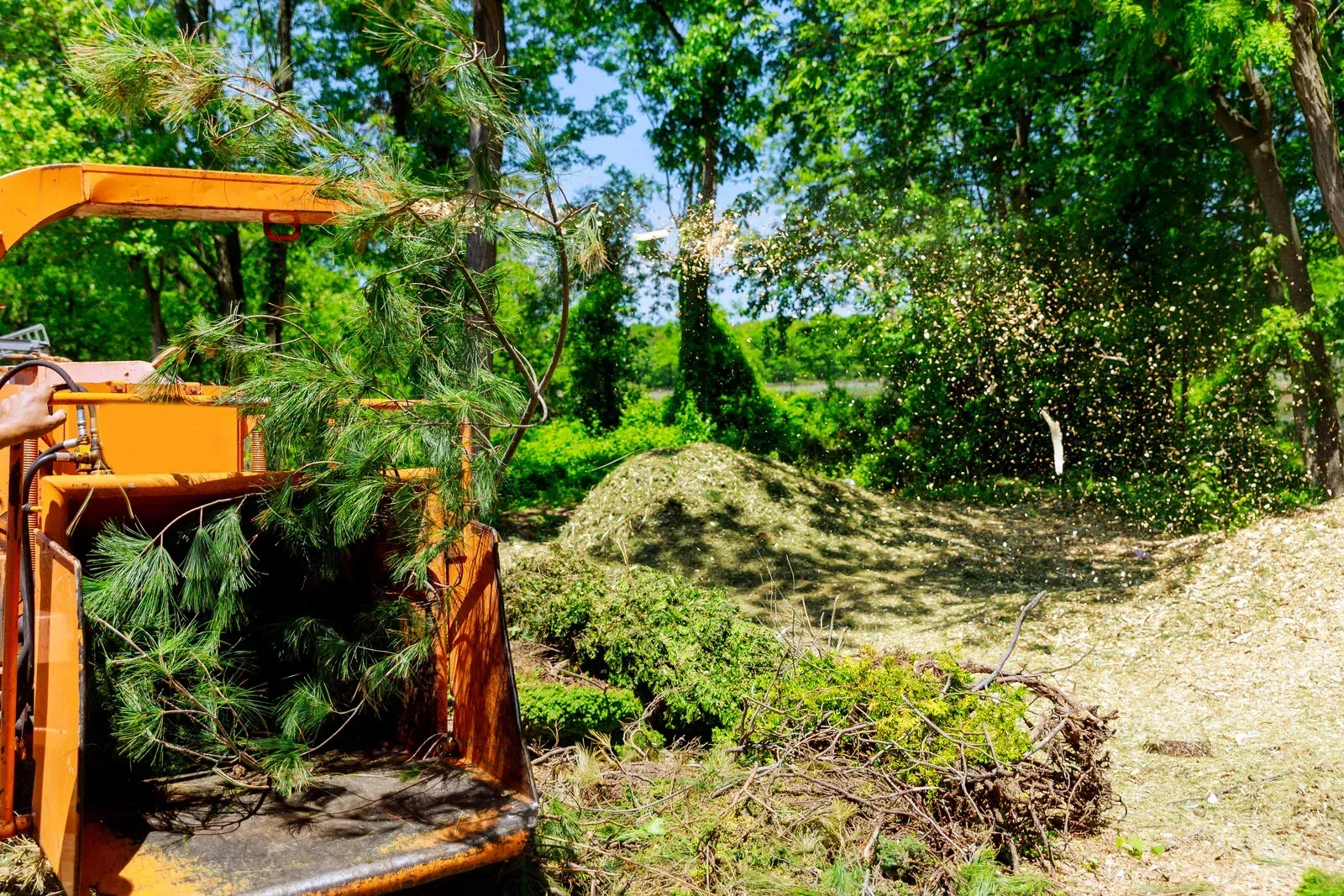 Yellow bulldozer with a blade attachment on tracks in a grassy field under a blue sky.