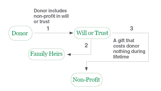 A diagram of a donor includes non-profit in will or trust and a gift that costs donor nothing during lifetime.